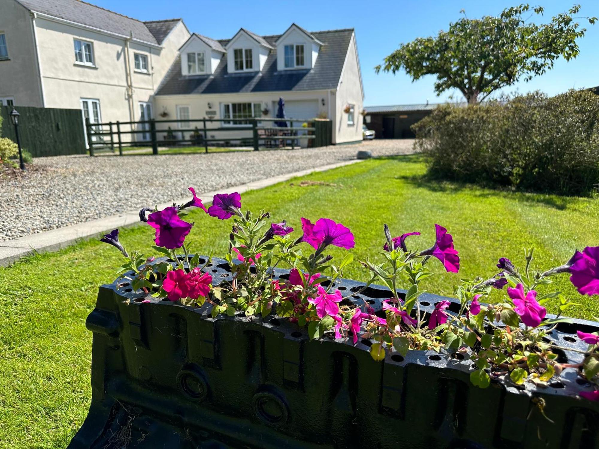 Appartamento The Cow Shed Narberth Esterno foto