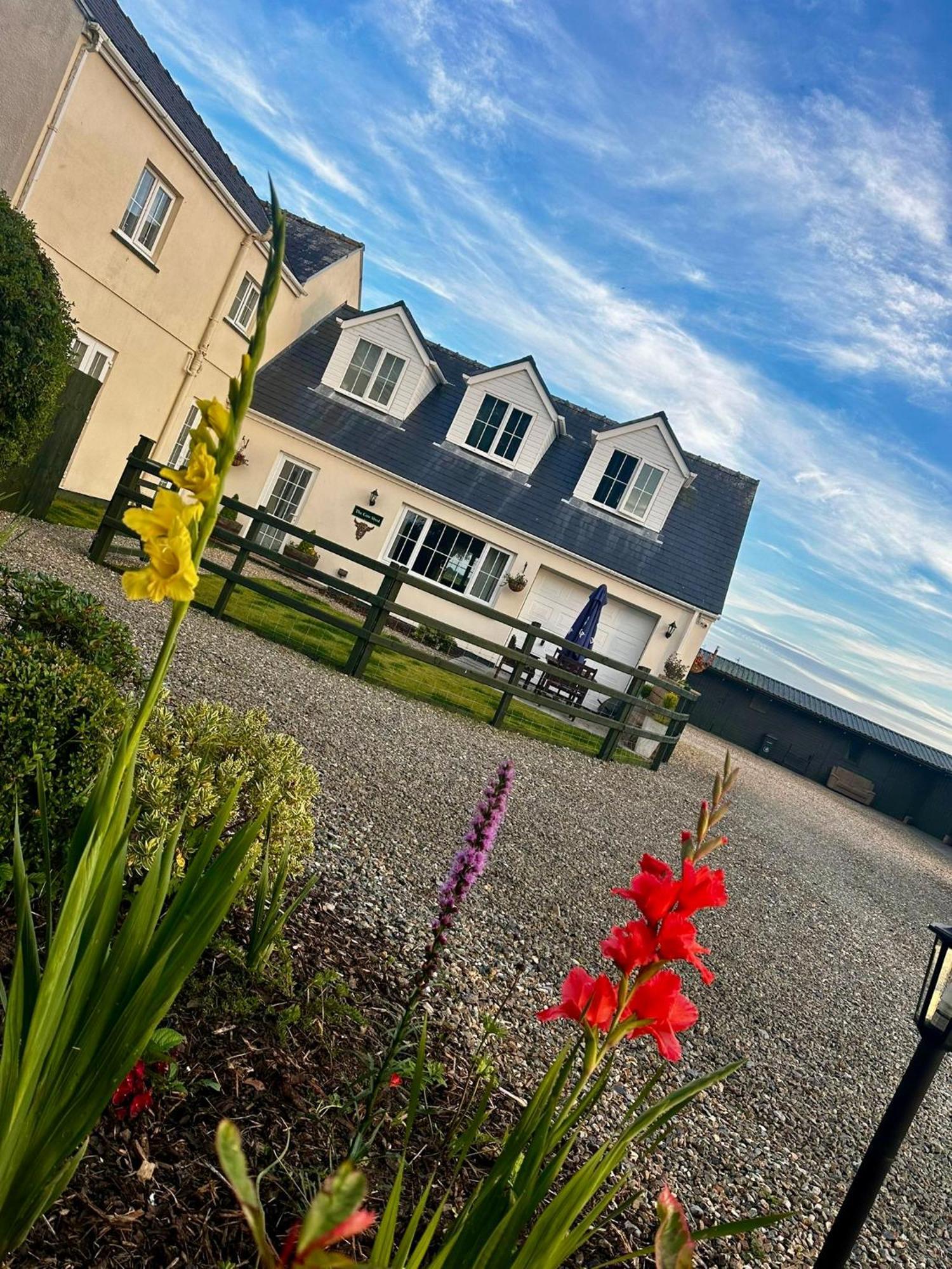 Appartamento The Cow Shed Narberth Esterno foto