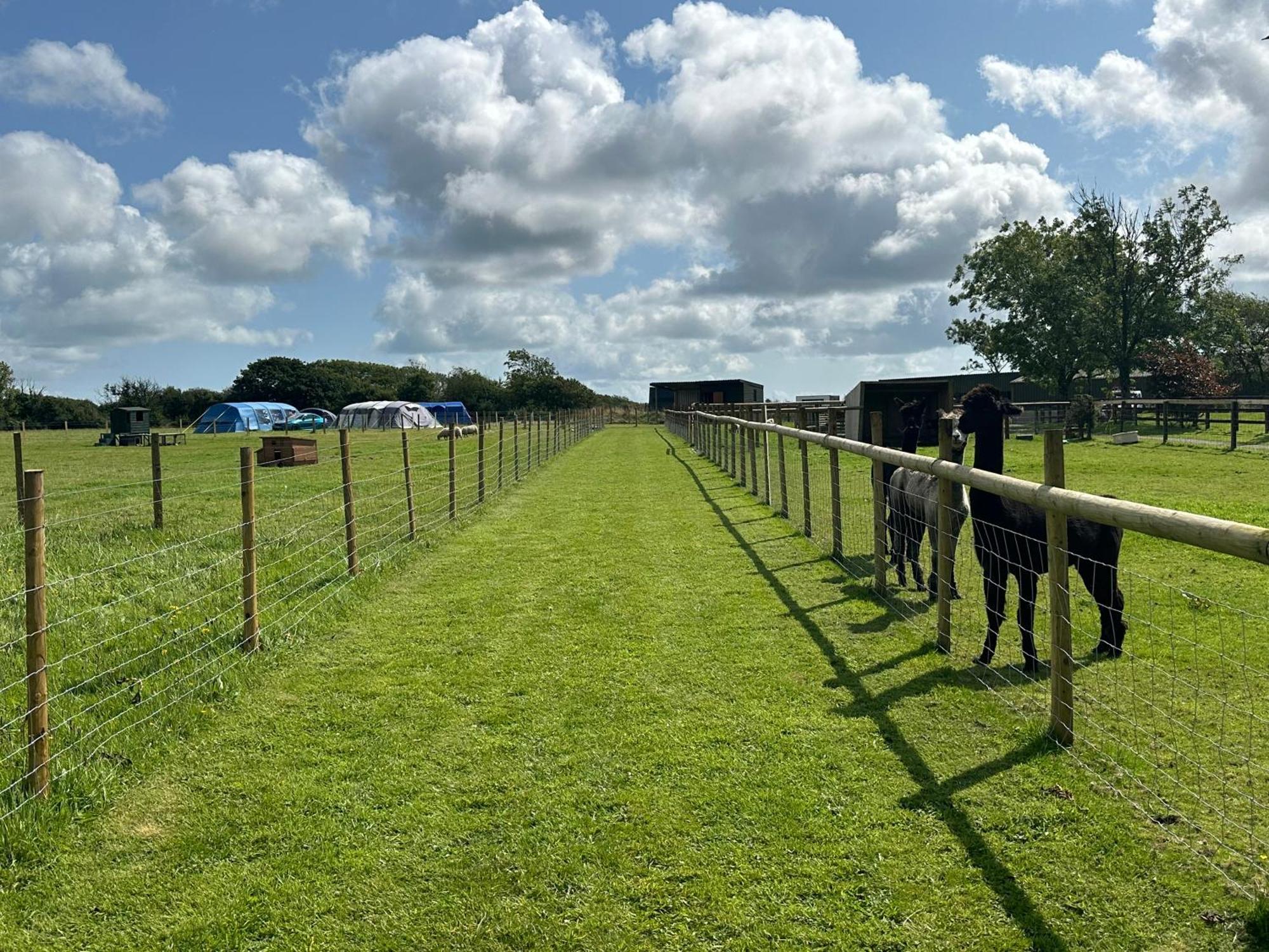 Appartamento The Cow Shed Narberth Esterno foto
